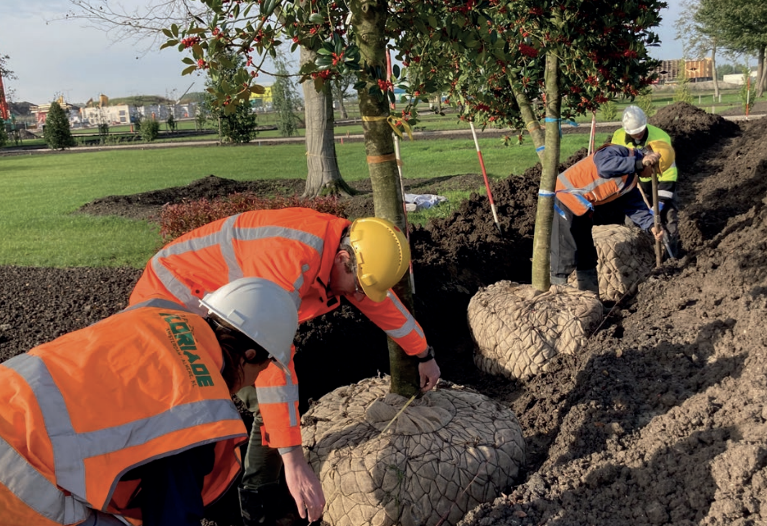 Arboretum op Floriade zal blijven bestaan